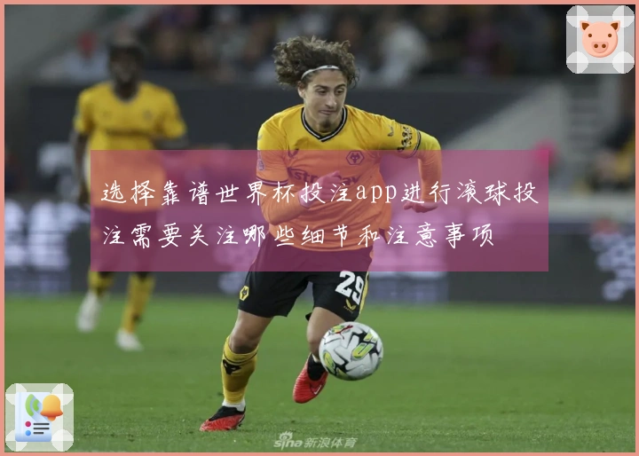 选择靠谱世界杯投注app进行滚球投注需要关注哪些细节和注意事项