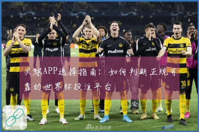 买球APP选择指南：如何判断正规可靠的世界杯投注平台