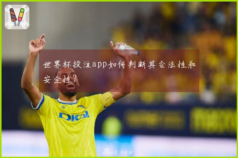世界杯投注app如何判断其合法性和安全性？
