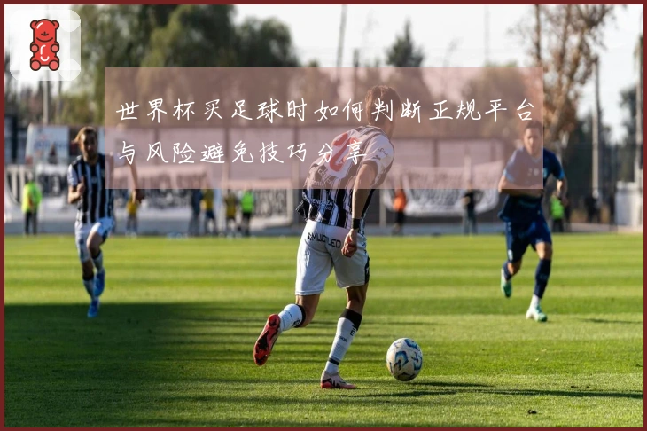 世界杯买足球时如何判断正规平台与风险避免技巧分享