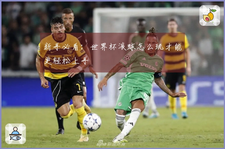 新手必看：世界杯滚球怎么玩才能更轻松上手