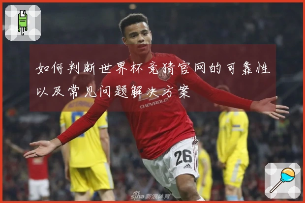 如何判断世界杯竞猜官网的可靠性以及常见问题解决方案