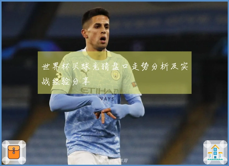 世界杯买球竞猜盘口走势分析及实战经验分享
