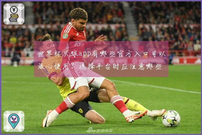 世界杯买球app有哪些官方入口可以放心使用？选择平台时应注意哪些风险和判断方法