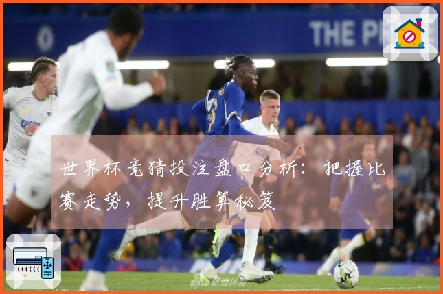 世界杯竞猜投注盘口分析：把握比赛走势，提升胜算秘笈