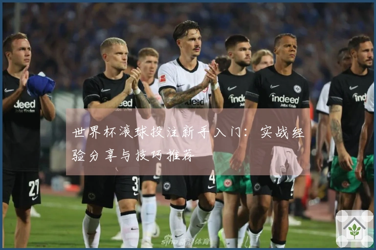 世界杯滚球投注新手入门：实战经验分享与技巧推荐