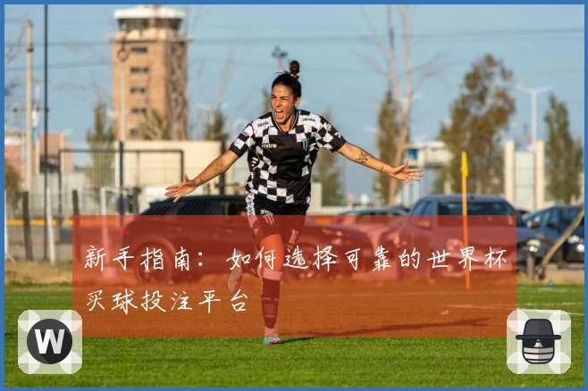新手指南：如何选择可靠的世界杯买球投注平台