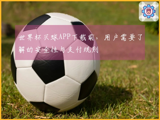 世界杯买球APP下载前，用户需要了解的安全性与支付规则