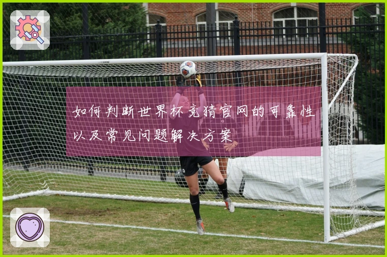 如何判断世界杯竞猜官网的可靠性以及常见问题解决方案