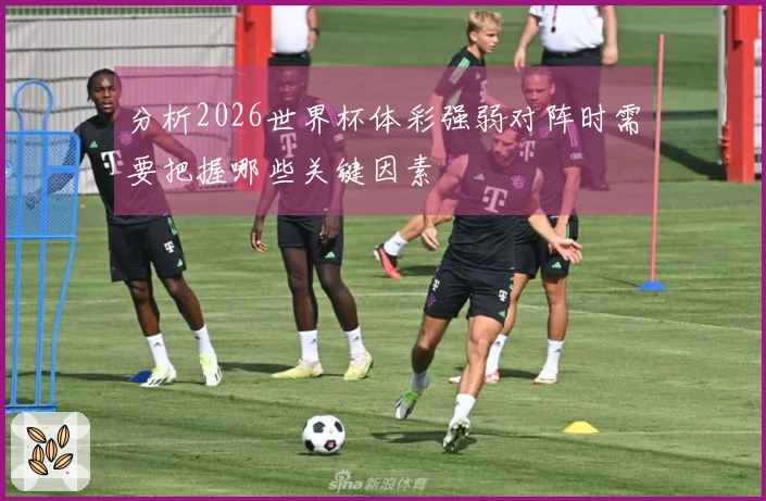 分析2026世界杯体彩强弱对阵时需要把握哪些关键因素
