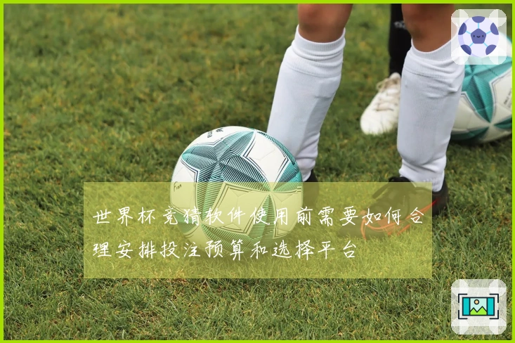 世界杯竞猜软件使用前需要如何合理安排投注预算和选择平台