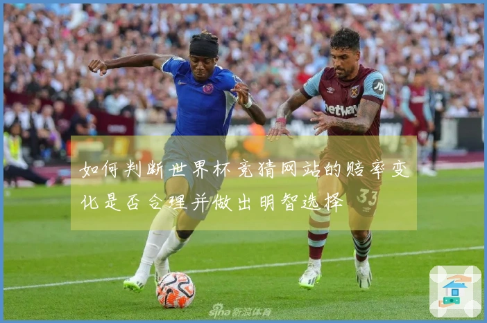 如何判断世界杯竞猜网站的赔率变化是否合理并做出明智选择