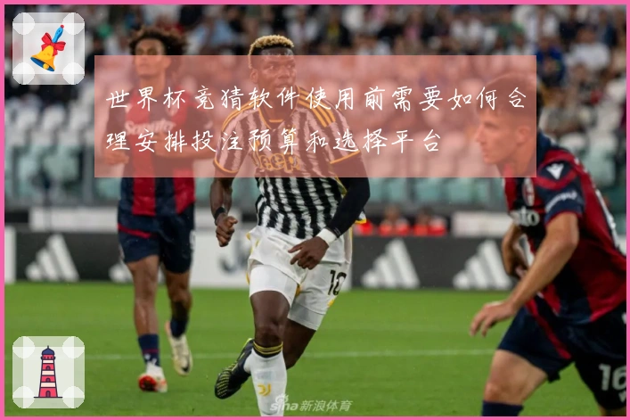 世界杯竞猜软件使用前需要如何合理安排投注预算和选择平台