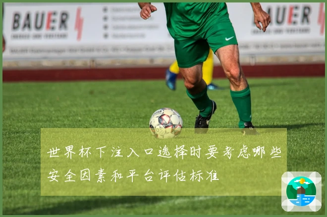 世界杯下注入口选择时要考虑哪些安全因素和平台评估标准