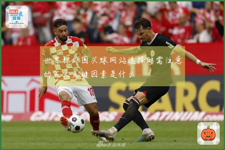 世界杯外围买球网站选择时需注意的五大关键因素是什么