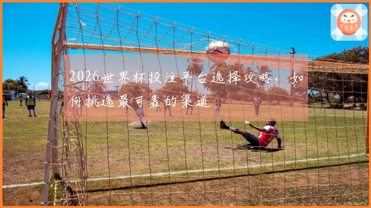 2026世界杯投注平台选择攻略，如何挑选最可靠的渠道