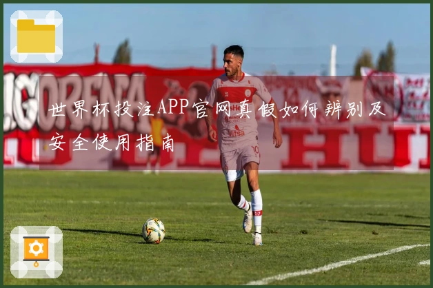 世界杯投注APP官网真假如何辨别及安全使用指南