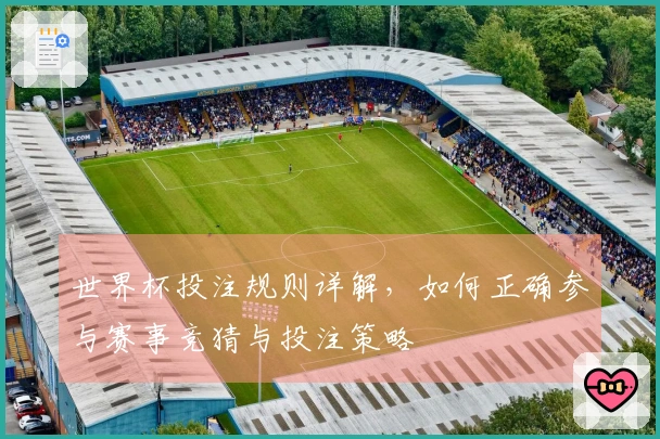 世界杯投注规则详解，如何正确参与赛事竞猜与投注策略