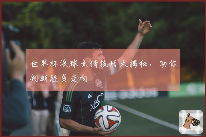世界杯滚球竞猜技巧大揭秘，助你判断胜负走向