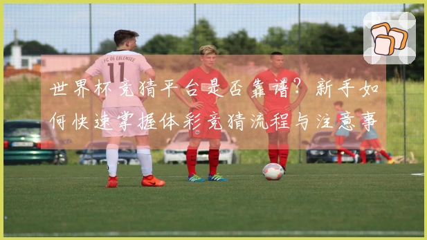 世界杯竞猜平台是否靠谱？新手如何快速掌握体彩竞猜流程与注意事项