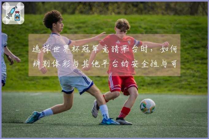 选择世界杯冠军竞猜平台时，如何辨别体彩与其他平台的安全性与可信度？