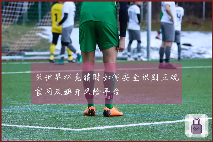 买世界杯竞猜时如何安全识别正规官网及避开风险平台