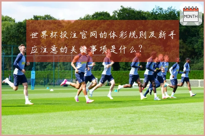 世界杯投注官网的体彩规则及新手应注意的关键事项是什么？