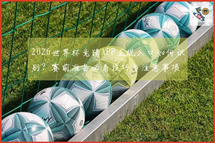 2026世界杯竞猜APP正规入口如何识别？赛前准备必看技巧与注意事项