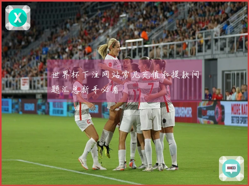 世界杯下注网站常见充值和提款问题汇总新手必看