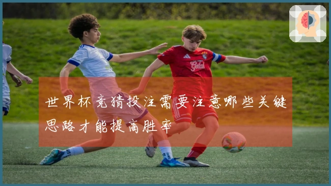世界杯竞猜投注需要注意哪些关键思路才能提高胜率
