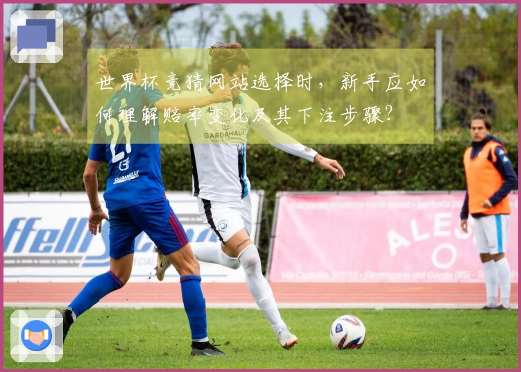 世界杯竞猜网站选择时，新手应如何理解赔率变化及其下注步骤？