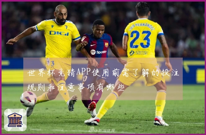 世界杯竞猜APP使用前需了解的投注规则和注意事项有哪些