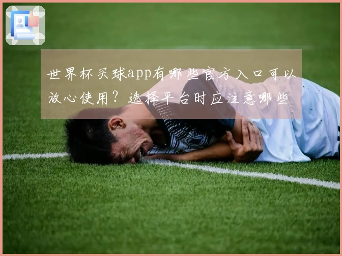 世界杯买球app有哪些官方入口可以放心使用？选择平台时应注意哪些风险和判断方法