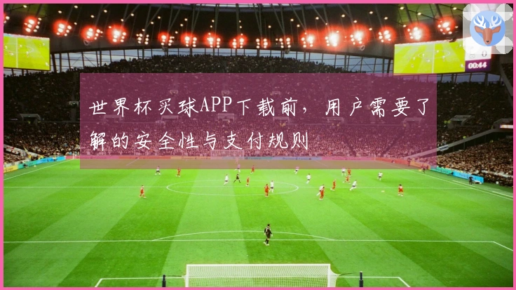 世界杯买球APP下载前，用户需要了解的安全性与支付规则